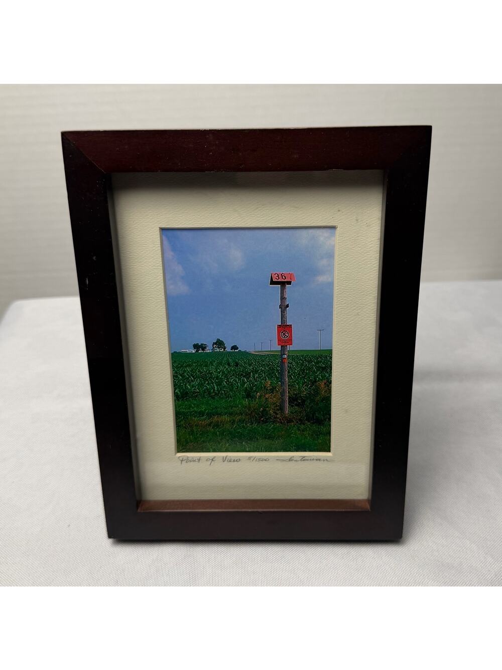 “Point of View" Signed Numbered Color Photo Print Americana‎ Framed 8x6 Midwest